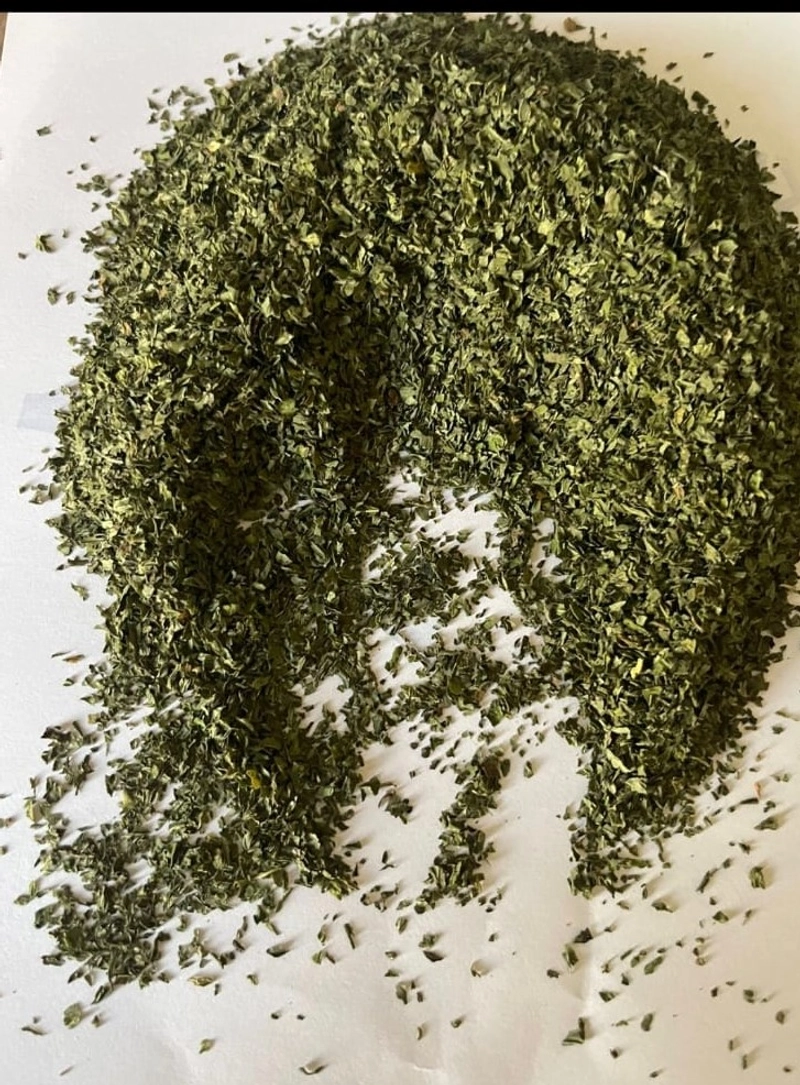Peppermint-Plant